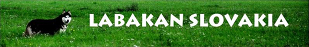 Labakan